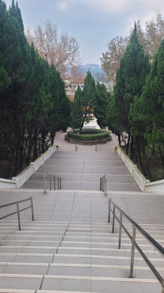 2025-0204 鶯歌_大凍山_三角埔頂山_迴龍2707974