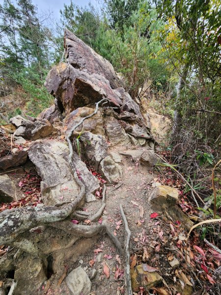 112/2/26谷關八雄：阿冷山2156259