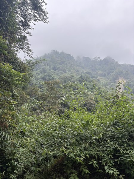 20251108西阿里關山步道(小林村東側登山口啟登)2933482