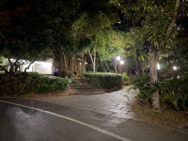 [茂名馬之行-13] 2026_0119 深圳夜景2997040