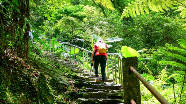 微笑山線銀河洞越嶺段2852821