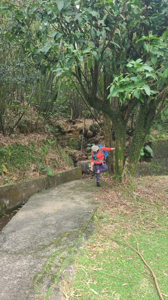 2025-01232淡蘭古道北二段(燦光寮古道到澳底)2696680