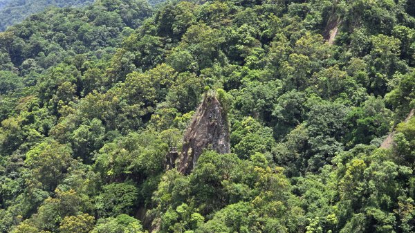 開箱微笑山線平溪小黃山孝子山，普陀山，北部四大岩場，刺激好玩又不難，大人小孩皆宜2841342