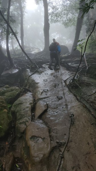 20230730 苗栗加里山午後雷陣雨篇（中級山小百岳）2235197