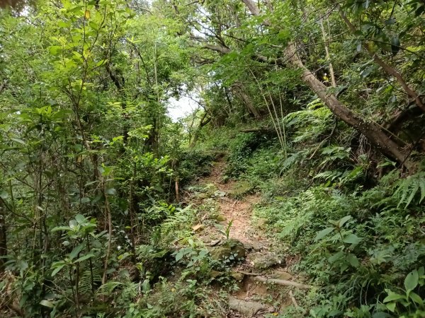 瑞芳區瑞芳四秀(白象山+秀崎山+瑞芳山+龍潭山)2785214