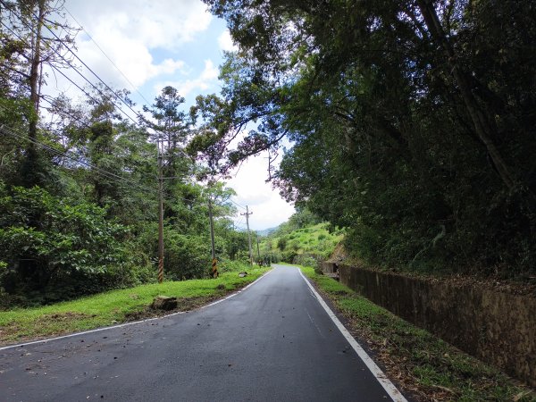 [百山百鳥尋旅-06/15] 2025_0830 貓囒山步道2875696