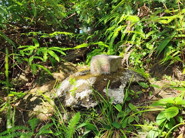 小百岳No.17⛰二格山2895572