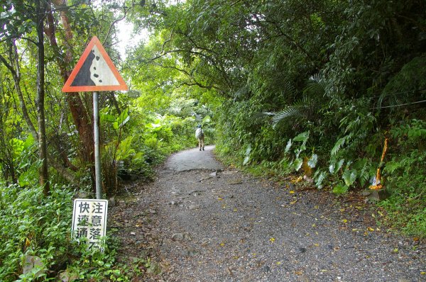 【聖母山莊】探訪恐龍林478168