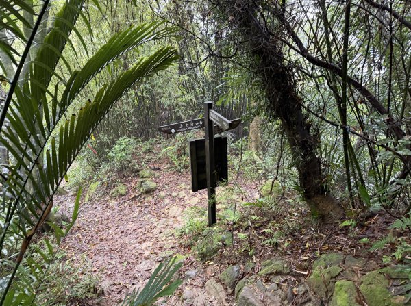 [微笑山線_第三段] 2026_0328 鳶山山系_鳶山彩壁3025690
