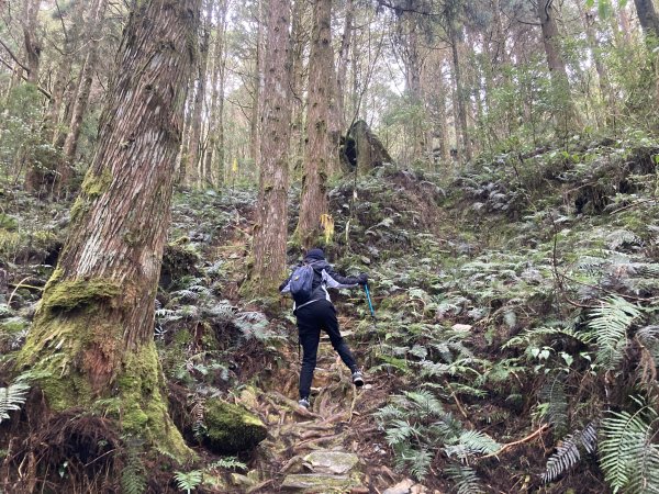 三星山登山步道(宜蘭)2412545