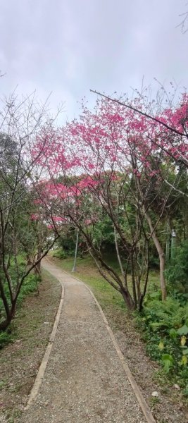 福州山公園3002495