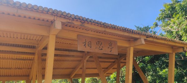 高雄壽山、半屏山2943052
