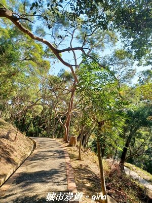 【苗栗】貓貍山公園功維敘隧道2981663