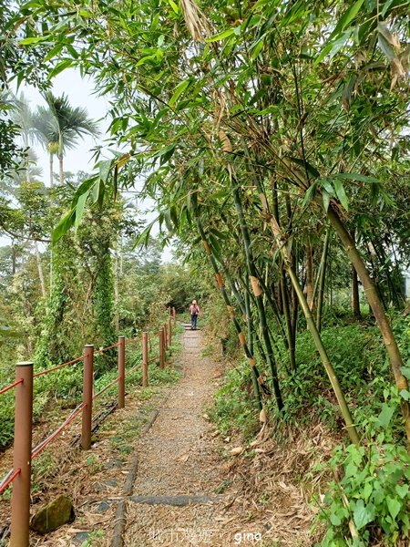【嘉義竹崎】說好的稜線風景呢。阿拔泉山稜線步道連走獨立山O繞2684137