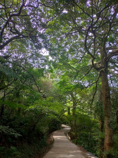 ［面天山］［向天山］［二子坪］的美麗雲彩2349134