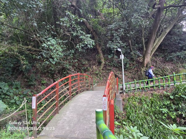 2026-03-08微笑山線：【大棟山系】百年大榕樹段3011669