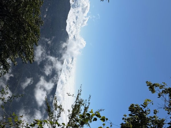 1141215塔山步道2962712