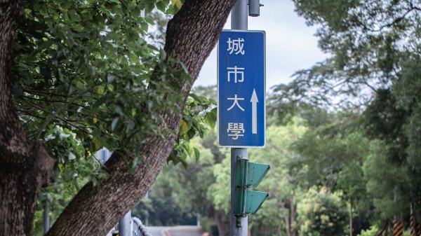 台北大縱走第一段：台北藝術大學-二子坪（緩步爬升的生態步道）1713860