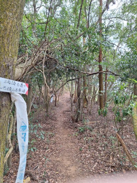 三段崎古道202401222696409