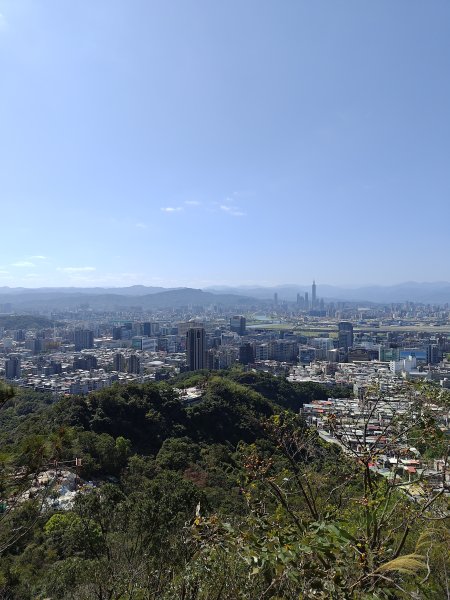 20260315金面山3015568