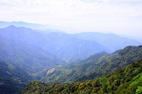 會呼吸的森林步道....加里山103267