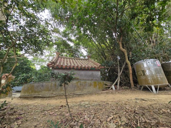 2026-02-01 靈山古道2991729