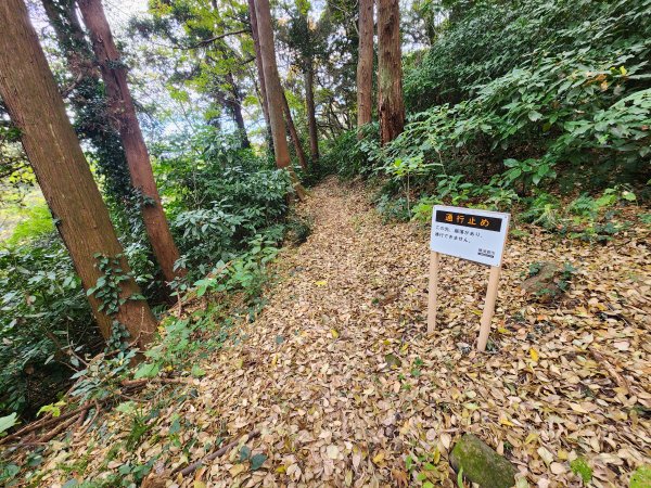 20251129鷹取山神武寺山2963968