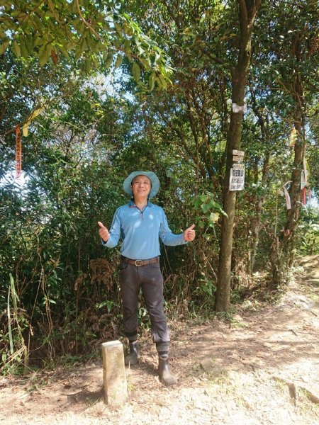 菁桐古道、耳空龜山1896704