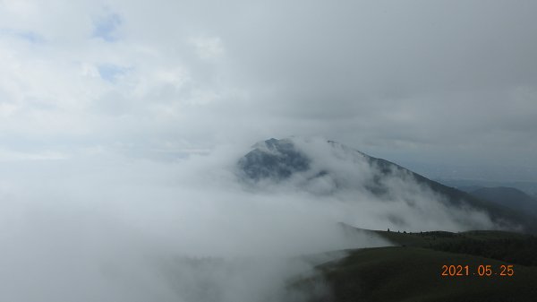 陽明山包場再見雲瀑雲海&觀音圈(匆匆乍現)雖不滿意但可接受1407750