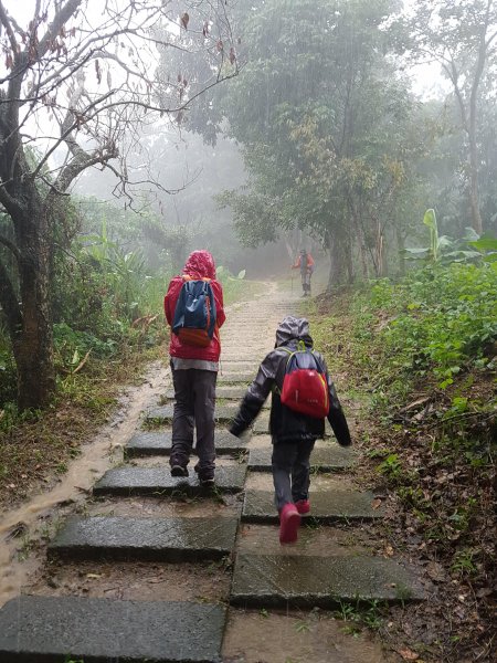 難得的登山體驗宛如明天過後441182