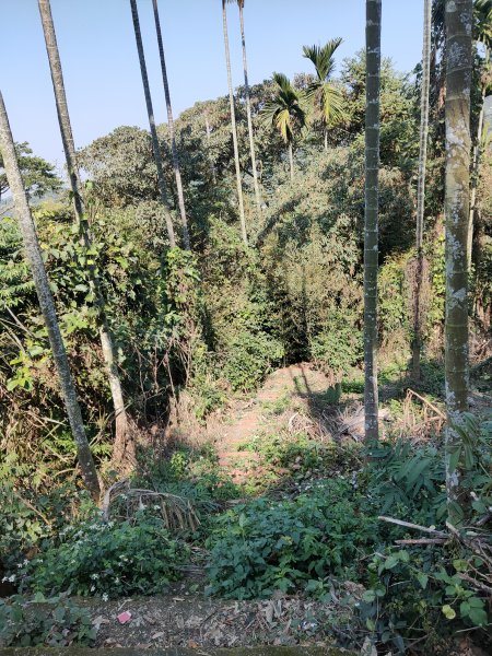 華山步道群1253498