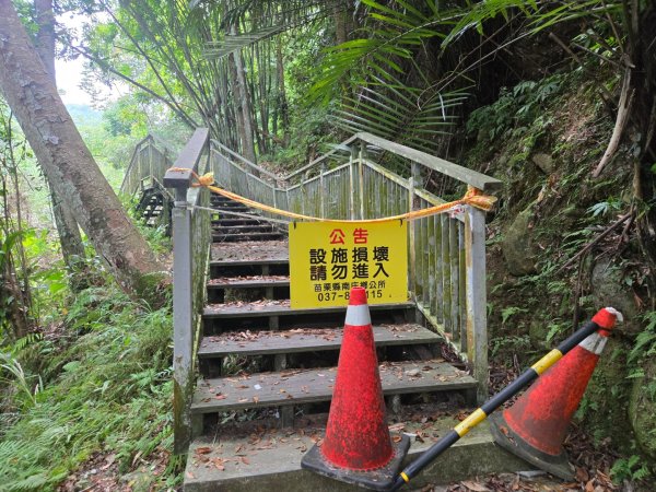 四十二份坪步道3127339