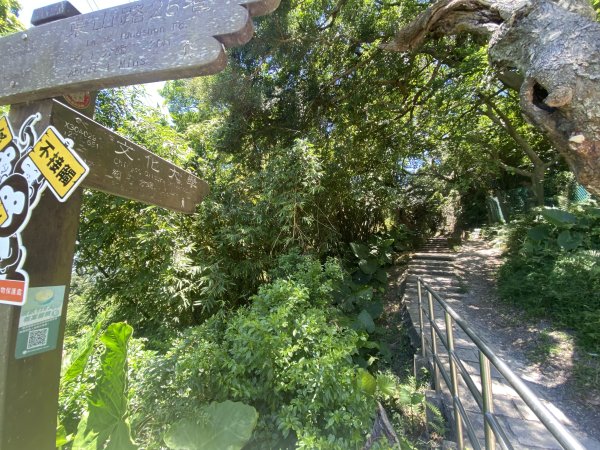 《陽明山秘境健行｜翠峰瀑布 × 天母古道 夏日涼爽路線》2852231