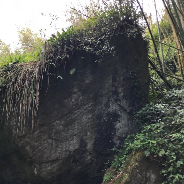 大凍山步道，頂湖出發935505