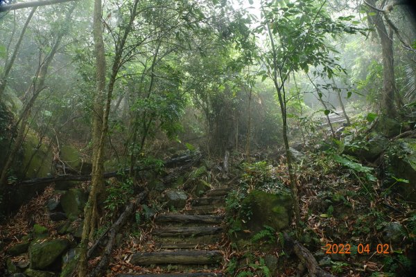 臺南 南化 王爺崙山1664015