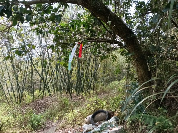 寶山鄉寶山水庫(寶山東峰+中峰+中西峰+西峰+西北峰)+尖山O型3012551