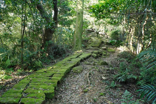 新北 三峽-土城 大暖尖山、火焰山、石門內尖山、十八羅漢岩、成福山3016616
