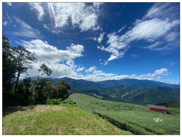 南東眼山 新基石 (南投、仁愛)2844763