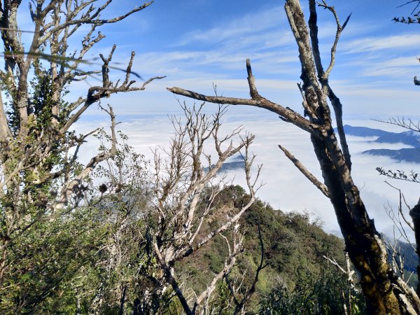 雨後天晴的加里山1517370