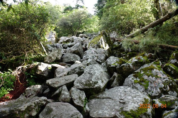 嘉義 阿里山 玉山前峰1731129