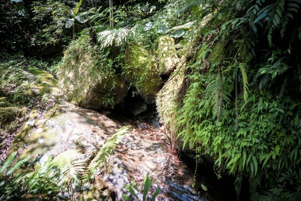 新竹關西鎮 石牛山938208