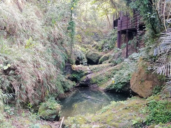 台中~仙氣繩橋山林環繞。 蝙蝠洞登山步道1295489