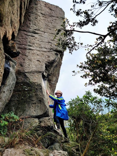 大砲岩-石壇山-八頭山-湯守岩-丹鳳山-202412222859764