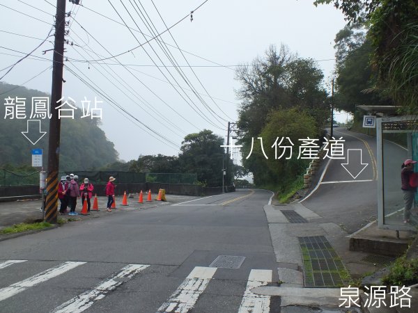 古道水圳賞櫻花2733446