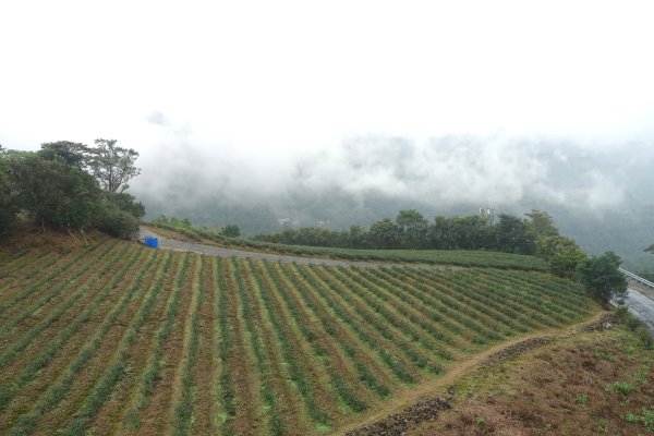 南山寺觀景台3086090
