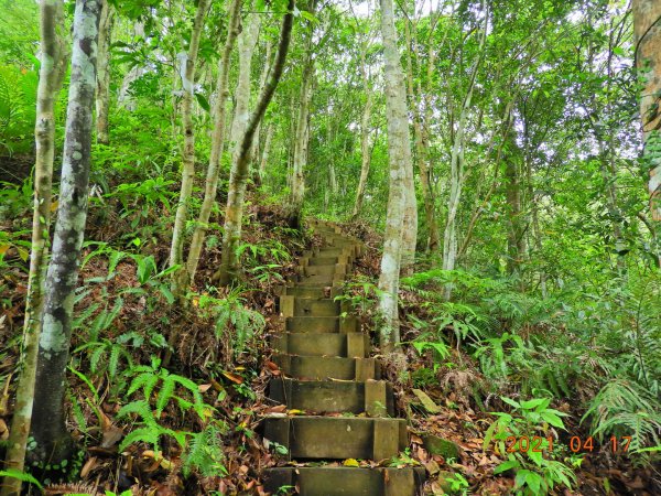 新北 坪林 開眼崙山1352158