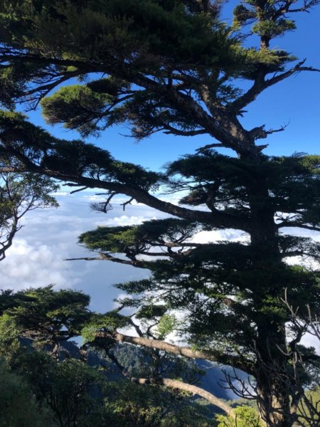 我的第一座百岳⋯北大武單攻502808