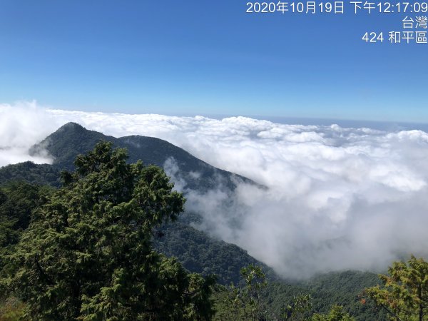 鳶嘴稍來國家步道季秋縱走1144494