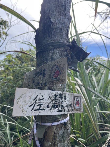 凱達格蘭山2877700