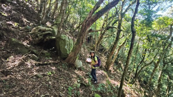 大混李棟山2816358